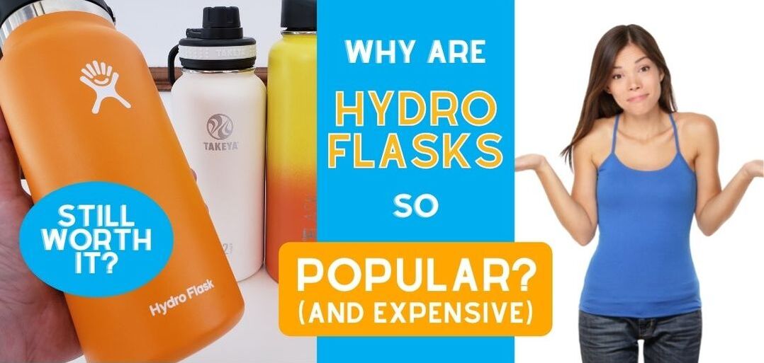 Why are Hydro Flasks so Popular and Expensive (and What are Good  Alternatives in 2023?)